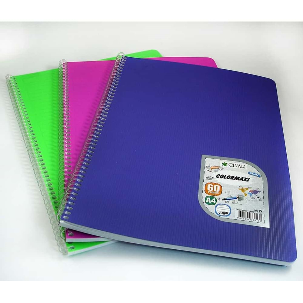 MTXNE-A460-Ç MYNOTE TEXT NEON A-4 PP KPK DEFTER 60/1*96