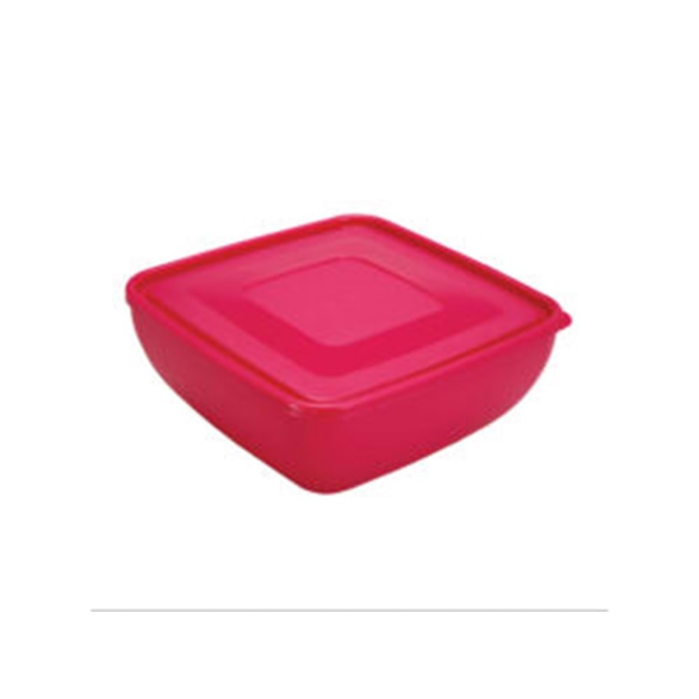 ÜÇSAN M657 KAPAKLI ORTA KASE 4 LT*24