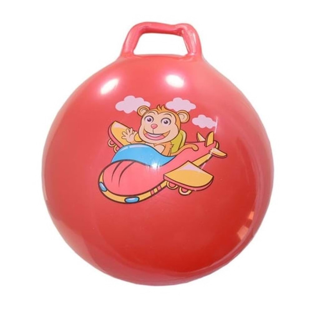 DENİZATI CN-174 PLATES TOPU 55 CM