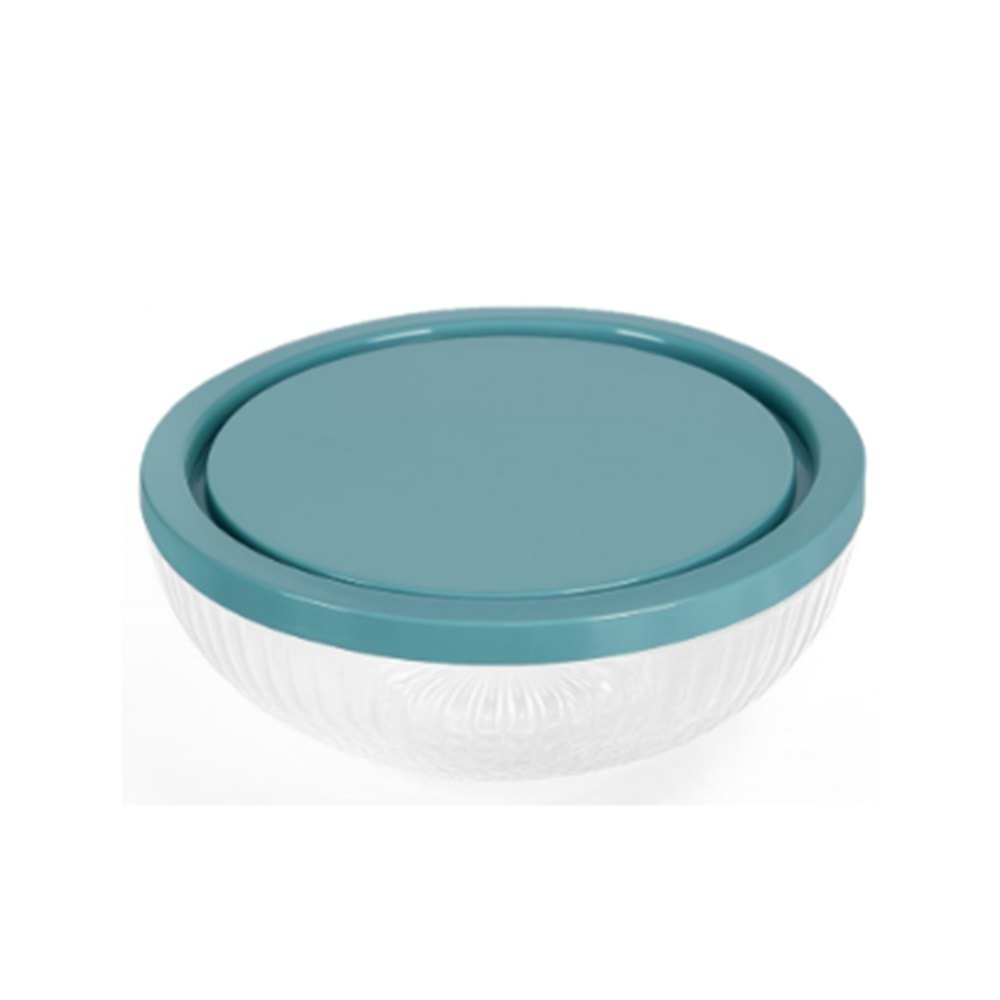 SARİNA S2001 DİAMOND SAKLAMA KABI 220CC *60