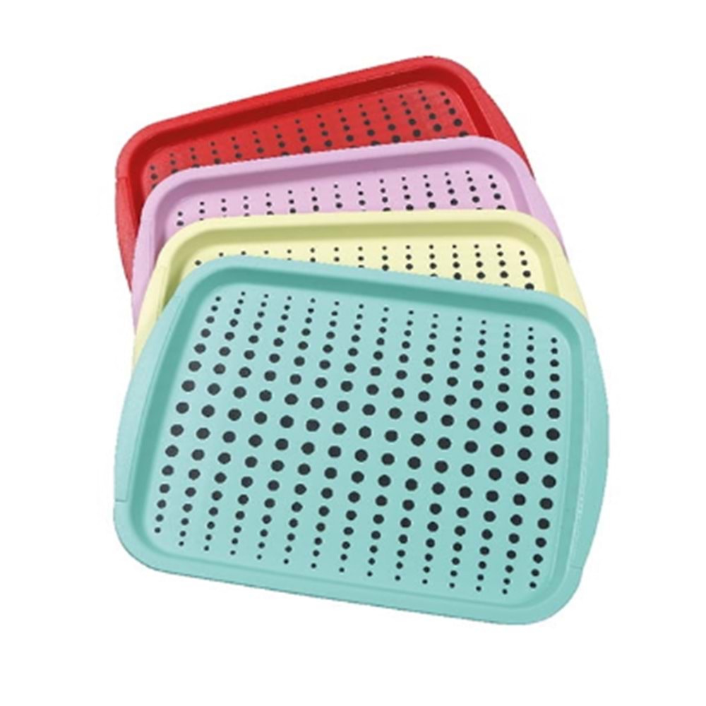 ÜÇSAN M262 ELEGANT TEPSİ *24