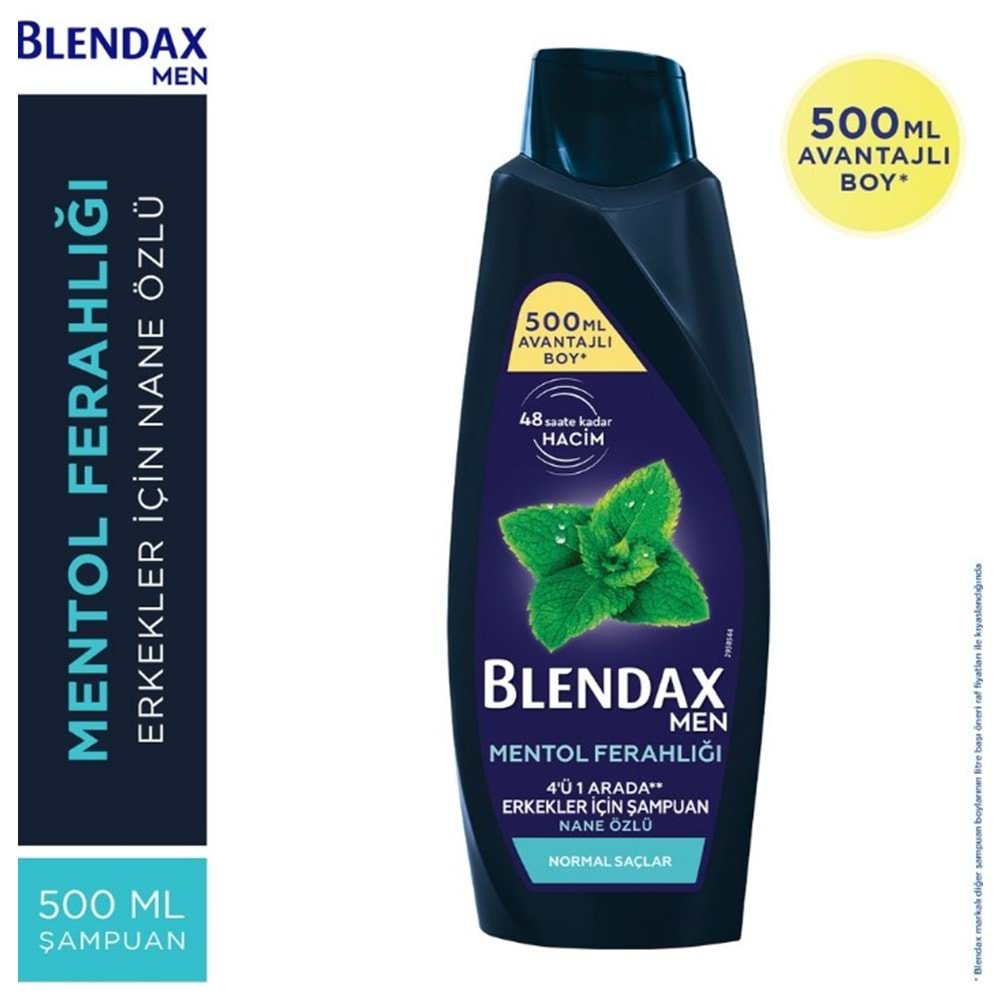 BLENDAX MEN MENTOL ŞAMPUAN 500 ML*6*12