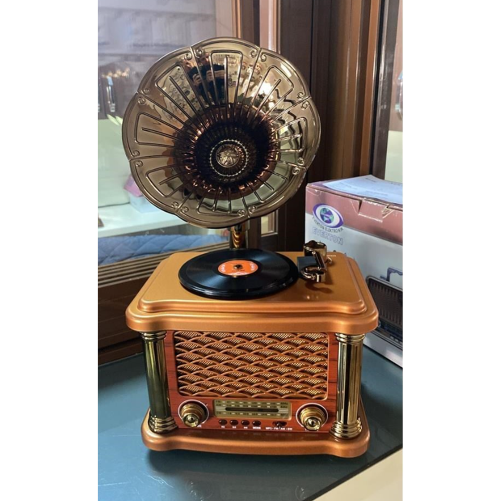 EVERTON RT586 BLUETOOTH RADYO ŞARJLI HAPORLÖR