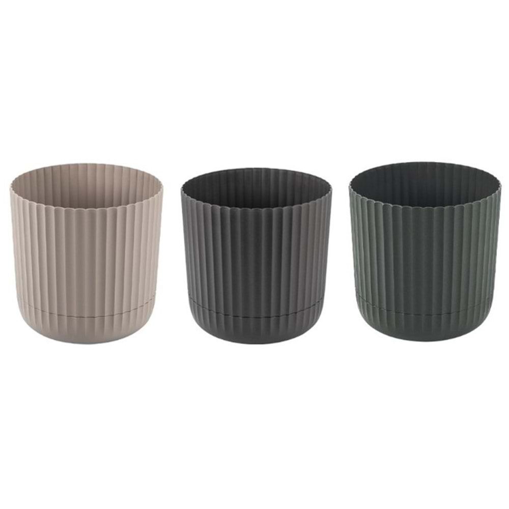 KARASU KRS264 4 NO ZERAF SAKSI *12