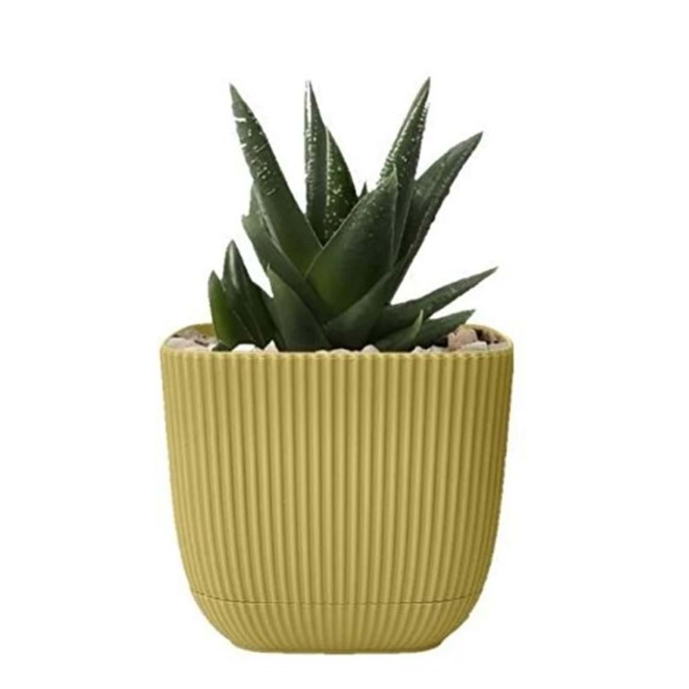 KARASU KRS381 1 NO MERCAN KARE SAKSI *60