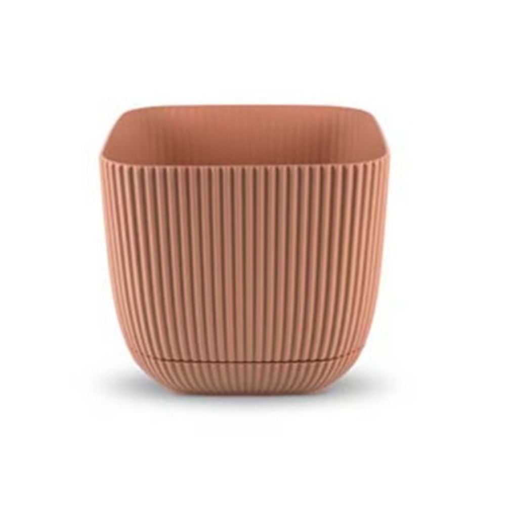 KARASU KRS383 3 NO MERCAN KARE SAKSI *36