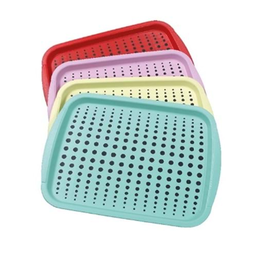 ÜÇSAN M262 ELEGANT TEPSİ *24