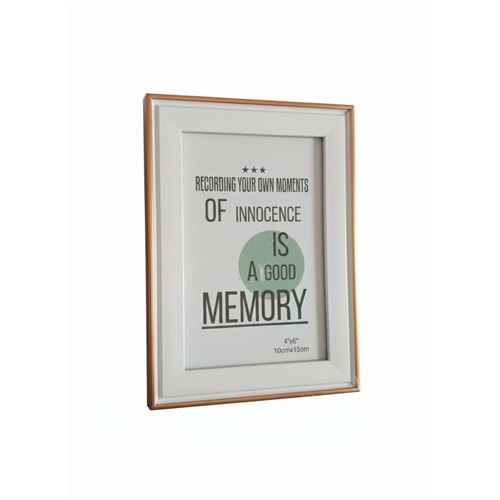 8184-1 ÇERÇEVE *120