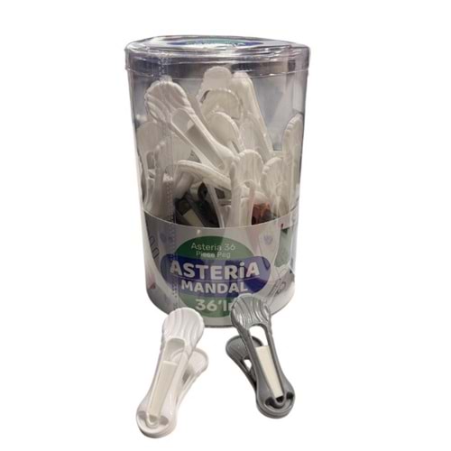 PAMİR PMR023 ASTERİA ÇAMAŞIR MANDAL ASETAT KUTU 36LI