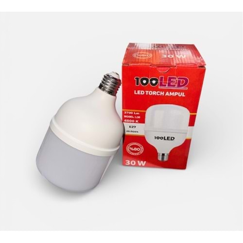 100LED L30 AMPUL 30W TORCH*100