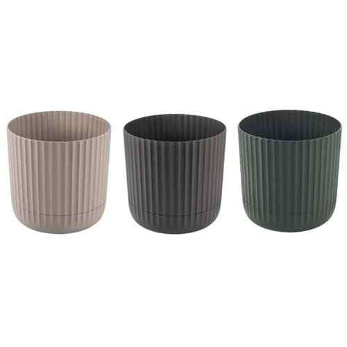 KARASU KRS264 4 NO ZERAF SAKSI *12