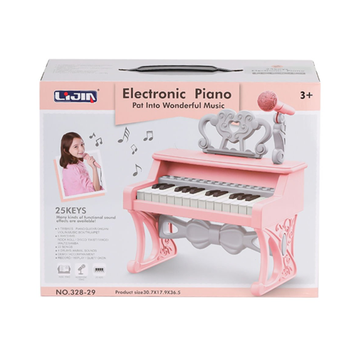 CAN 328-29 ELEKTRONİC PİANO*18