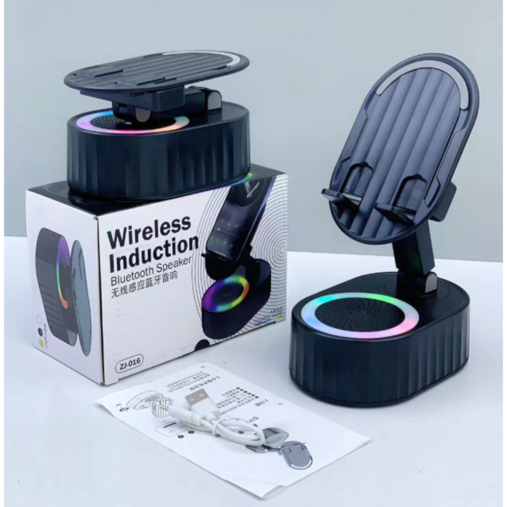 QMAX PS016 WİRELESS MÜZİK ÇALAR