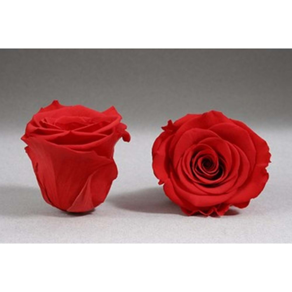 MANOR HOME MNR-IS001 SOLMAYAN GÜL (VAZO İÇİN) *144